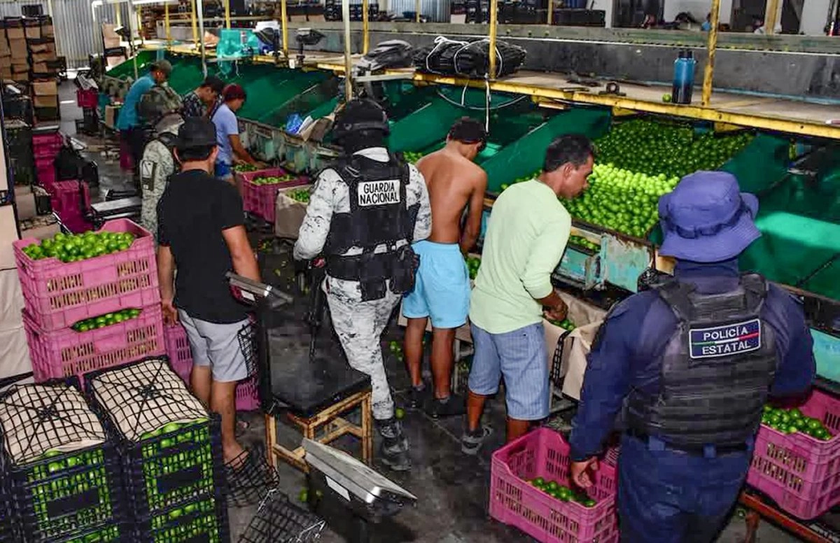 operativo en michoacan van contra seis carteles 8aef2fc8 7f2a 422a 8330 7d2084fb9de5 medialjnimgndimage=fullsize