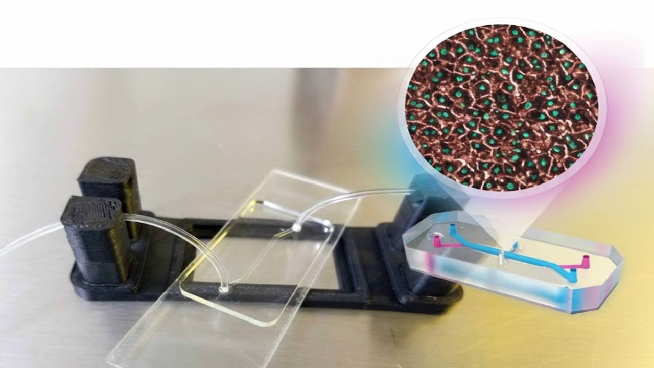 general 2 innovador higado en un chip la revolucion biotecnologica de la unam para la industria farmaceutic