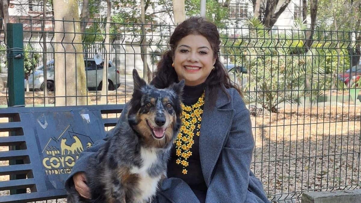 nota 2 clara brugada ciudad animalista