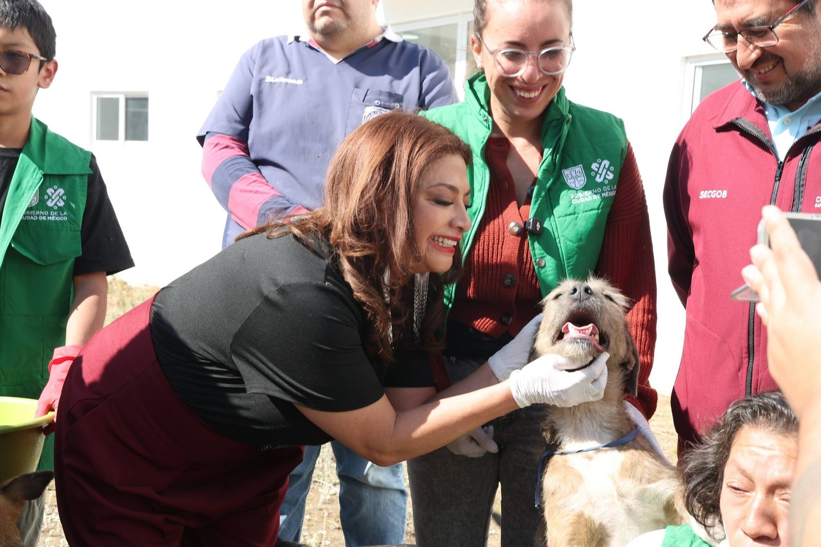 nota clara brugada raíz 2 (1)