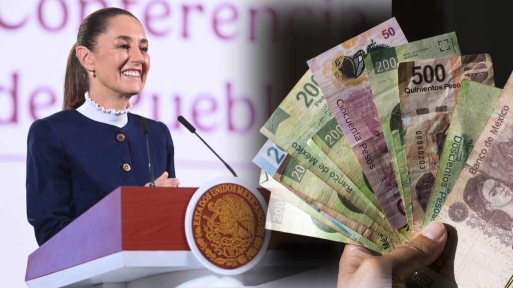 nota política raíz