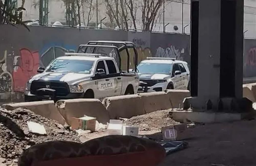 c786f0fb 5308 436e 9c3e fd7bb4cbbab4