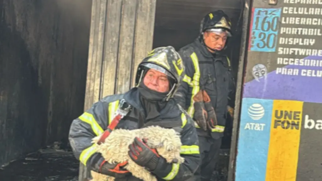 Fuerte incendio en Iztapalapa moviliza servicios de emergencia; no se reportan heridos