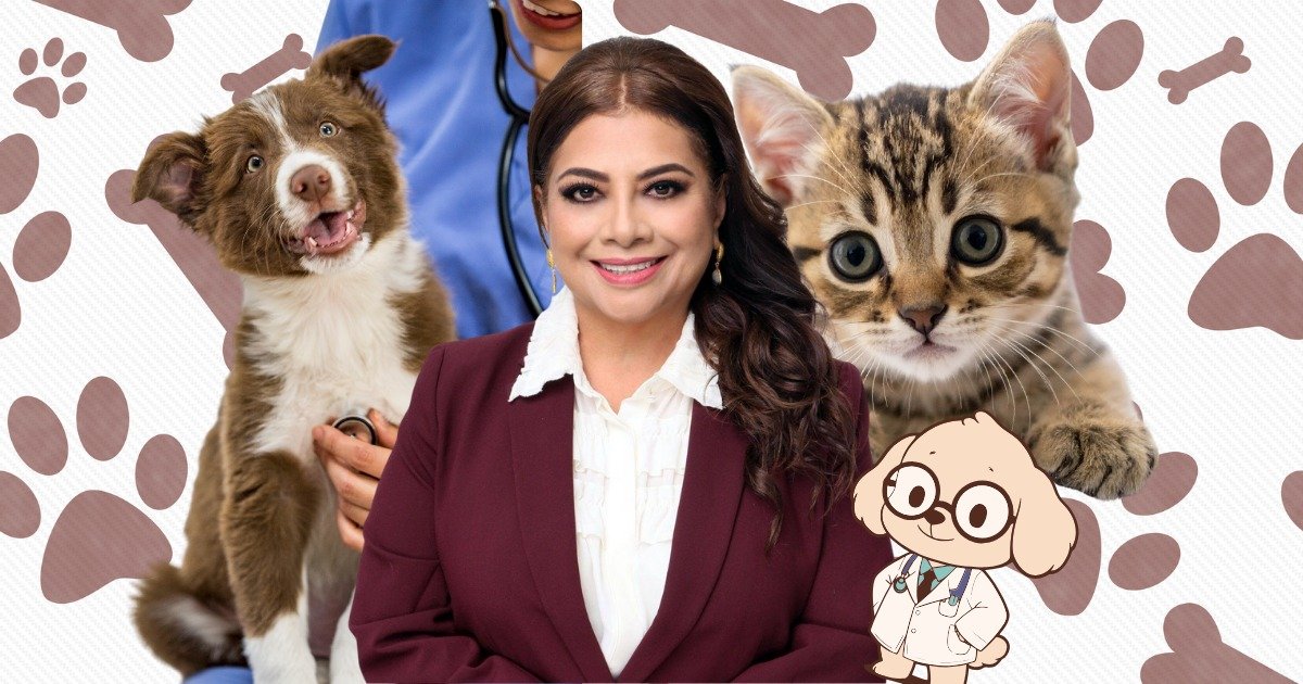 whatsapp image 2026 03 03 at 1.35.00 pm