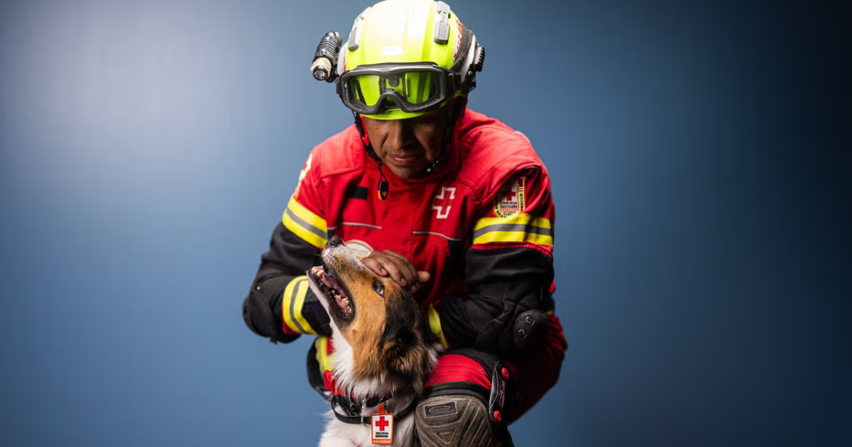 Perros rescatistas de la Cruz Roja fortalecen las labores de búsqueda y auxilio en México