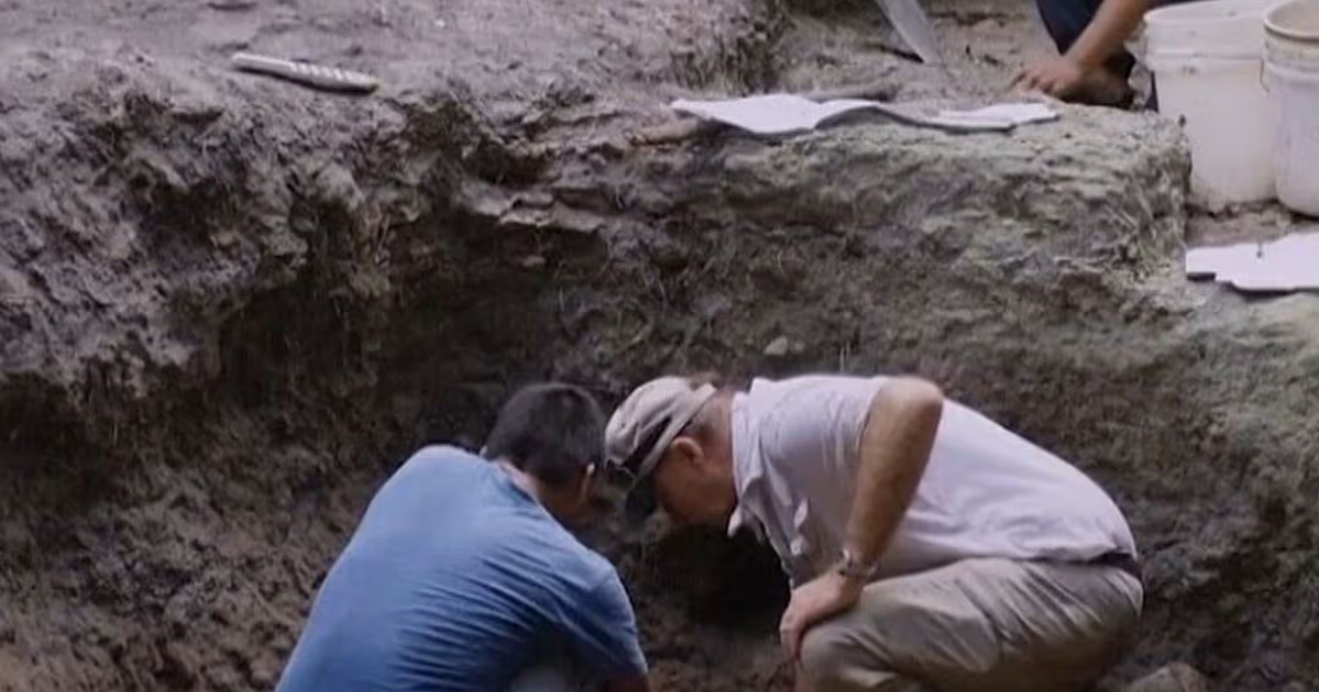 Descifran en Xultún el nombre de un matemático y astrónomo maya, un hallazgo para la historia