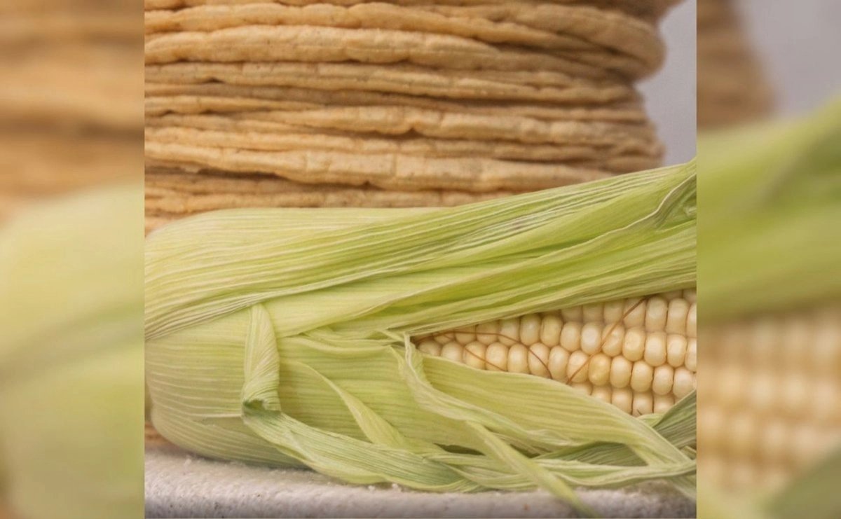 sader descarta aumento al precio de la tortilla