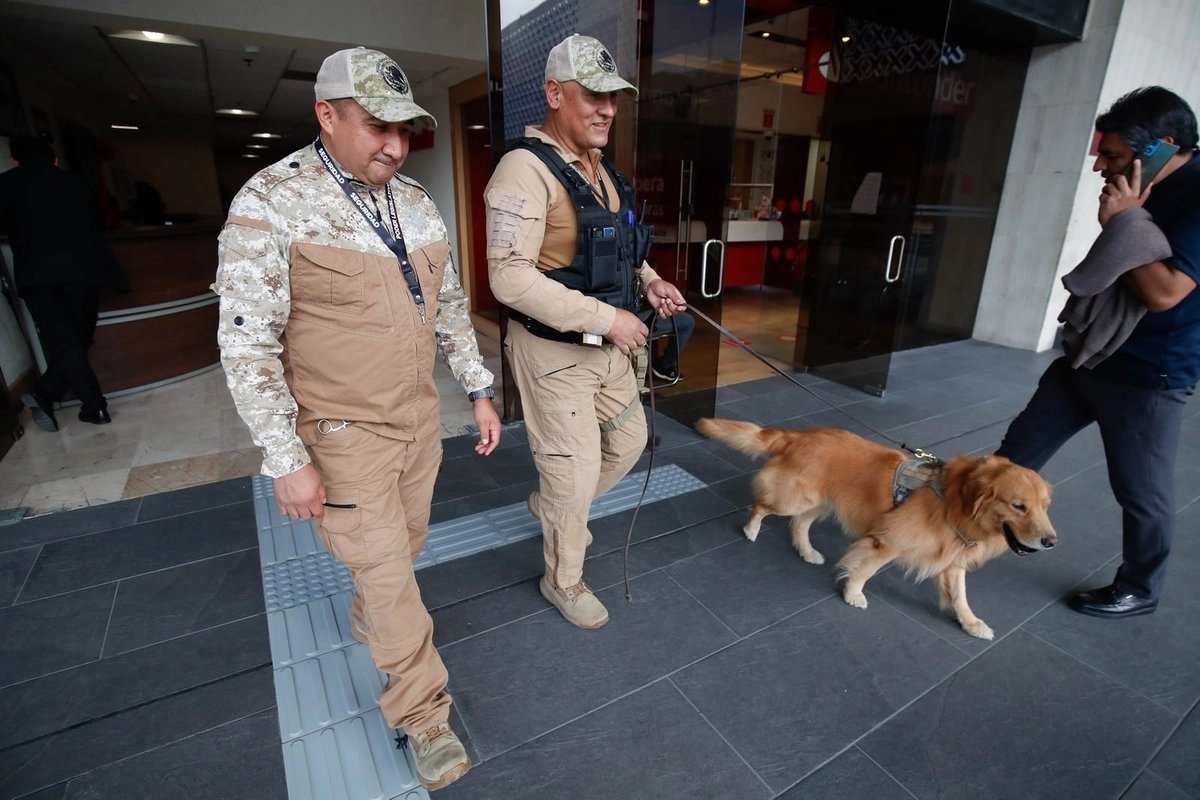 camara de diputados aplica medidas de seguridad